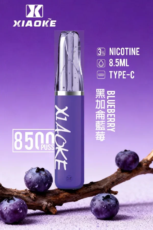 XIAOKE 梟客 8500口｜8.5ml儲油量 3%尼古丁鹽 支援Type-C充電 拋棄式電子煙