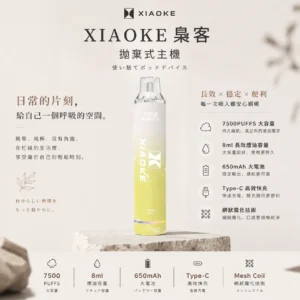 ChatGPT-Image-2026年8月25日-下午10_13_07.webp XIAOKE 梟客 7500口 拋棄式電子煙|8ml大容量 650mAh大電池 支援Type-C高效快充 網狀霧化技術穩定輸出