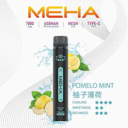 MEHA XBAR 魅嗨 小黑條 7000口 抛棄式電子煙｜Mesh芯爆發力強 3%尼古丁鹽黃金配方 極強冰感體驗 650mAh大電量可充電長效續航