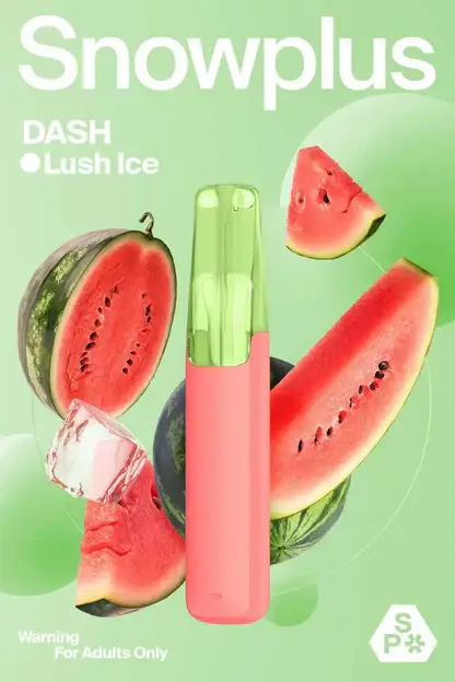 Snowplus DASH 4000口 拋棄式電子煙｜鴨嘴獸獨家人體工學吸嘴極致貼合 7.5ml大容量不乾燒 不掉味技術 3%尼古丁鹽