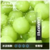 LANA ZOLT 8000口 抛棄式電子煙｜15ml煙油 冰感水果系列清爽入喉 Mesh網狀霧化芯爆發力強 可充電式設計